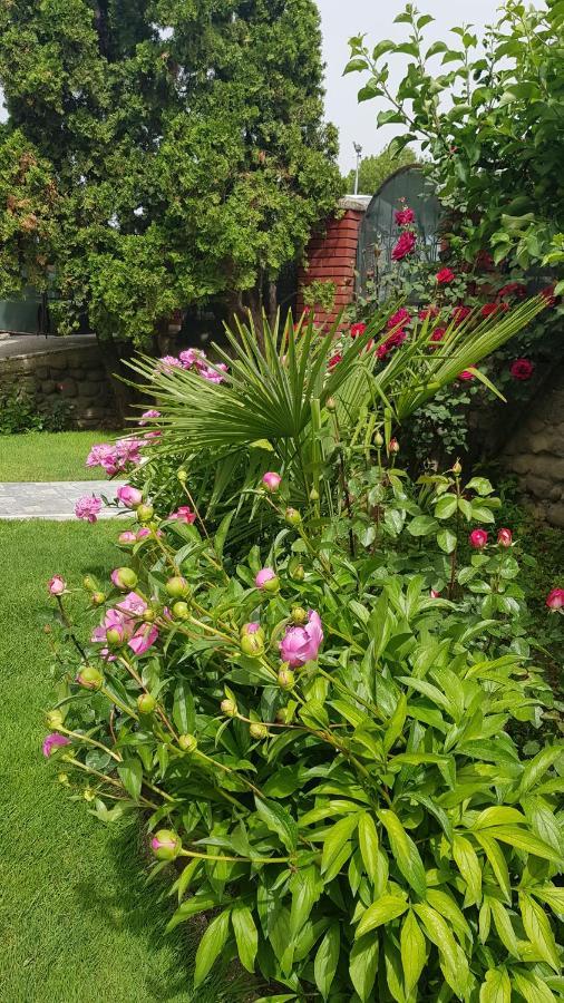 Villa Bratislava Demir Kapija Ngoại thất bức ảnh